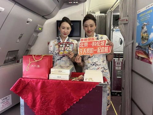 中斯空中新走廊 首都航空北京大興直飛科倫坡航線首飛成功